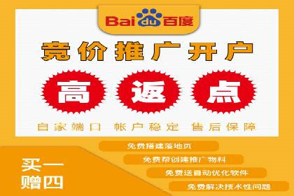 百度SEM广告投放效果评估的案例分析